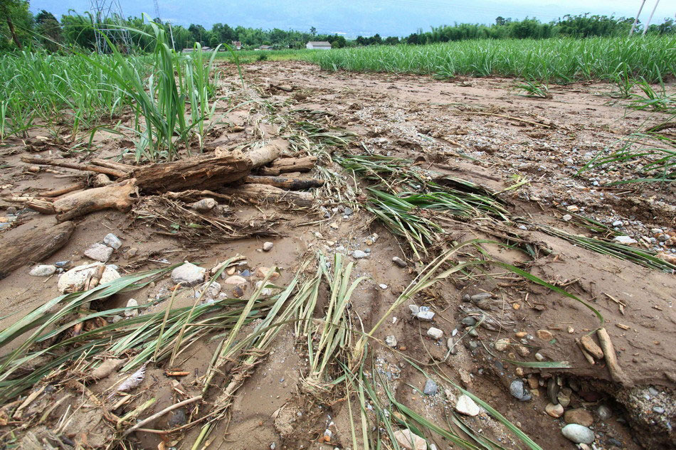 副书记带队上百号人强制清表土地！“有机更新”不容乱来！